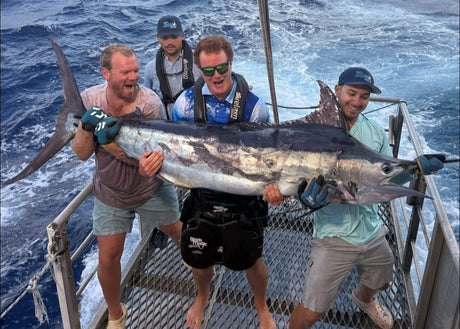 Offshore Action at Swains and Saumarez with Fisho’s Hervey Bay