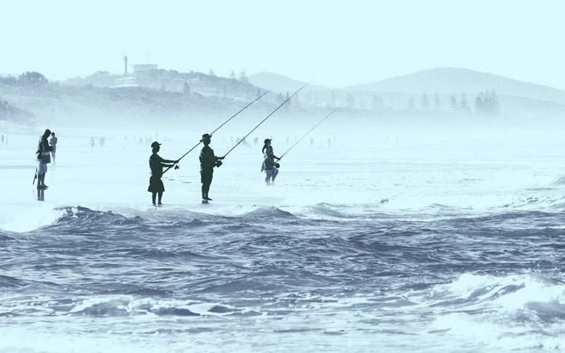 How To Catch Tailor Off The Beach
