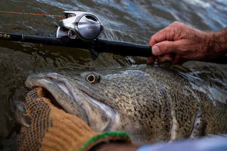 Best Baitcaster for Big Catches? Meet the new Shimano Tranx 300B