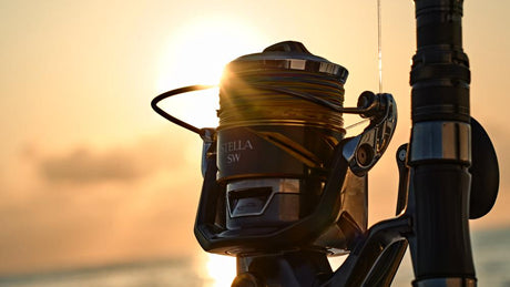 The New Shimano 25 Stella SW Has Landed at Tackle World Australia