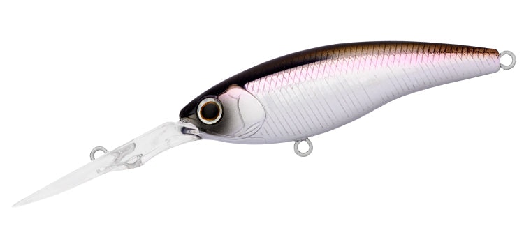 Daiwa Steez Shad 60SP DR Lure