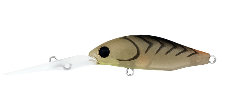 Daiwa Infeet Spike 44EXDR Hard Body Lure