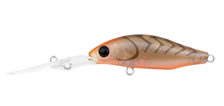 Daiwa Infeet Spike 44EXDR Hard Body Lure