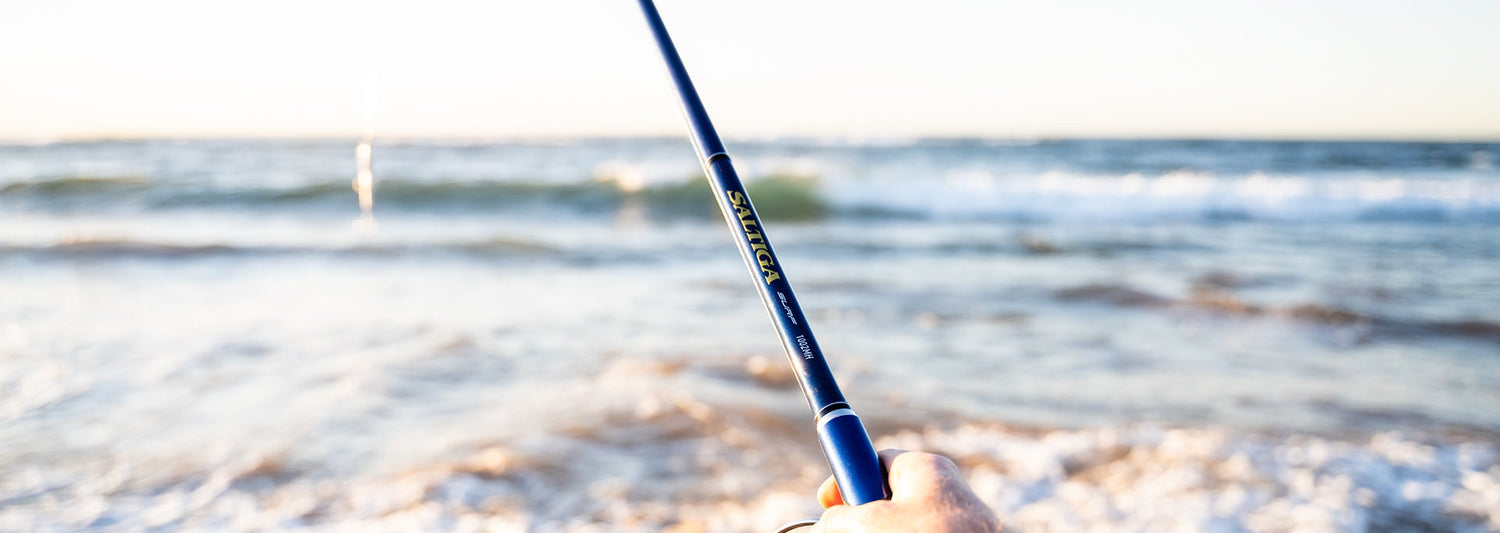 Daiwa 21 Saltiga Surf Spin Fishing Rods