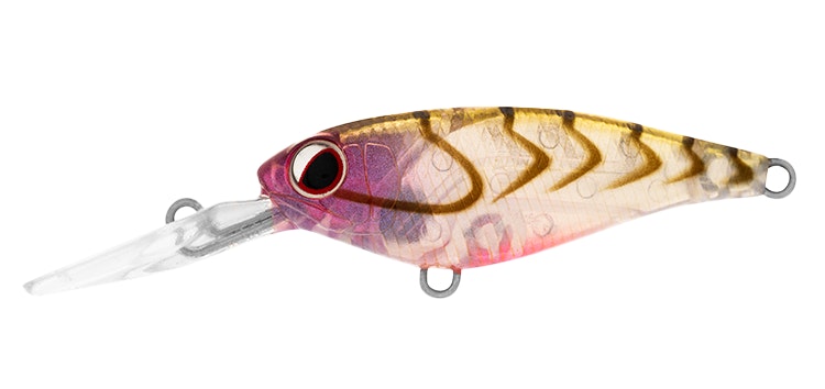 Daiwa Infeet Kodachi Lure