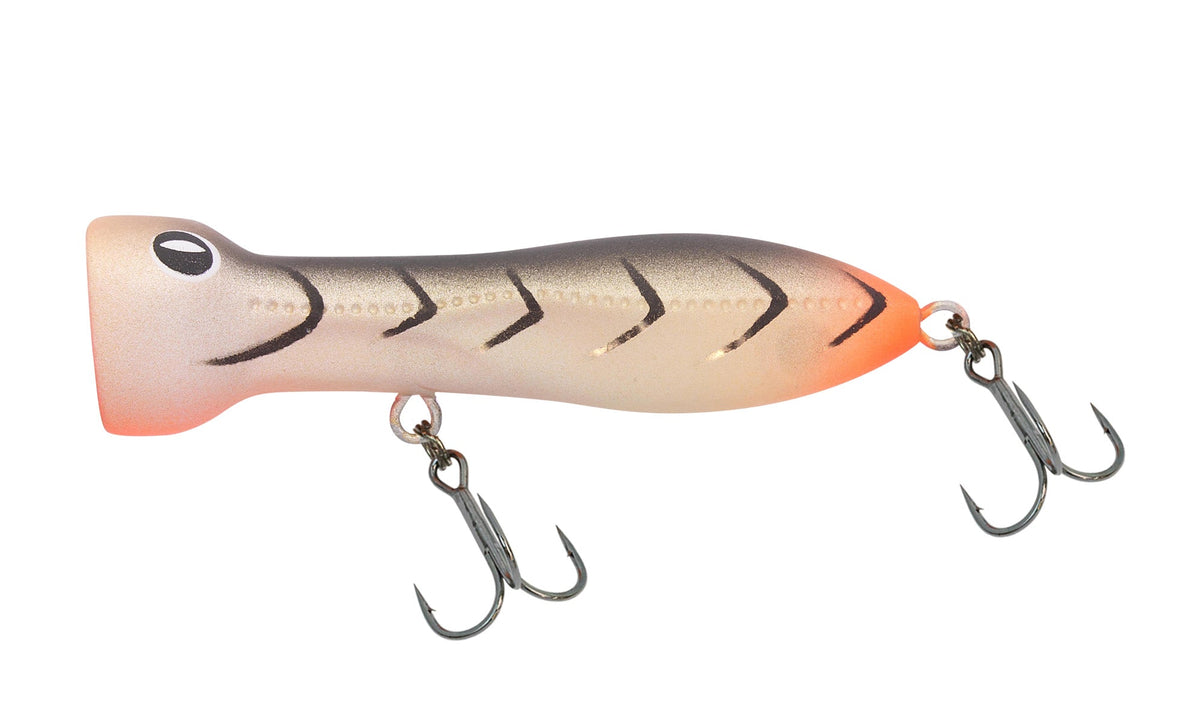 Nomad Design Chug Norris 50 Popper - Matte Brown Shrimp