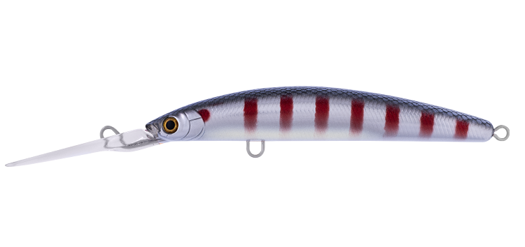 DOUBLE CLUTCH 115 EXDR