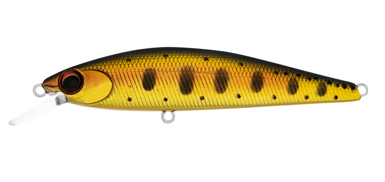 SilverCreek DR MINNOW II 70F
