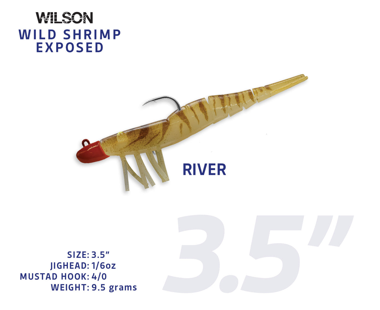 Wild Shrimp Exposed
