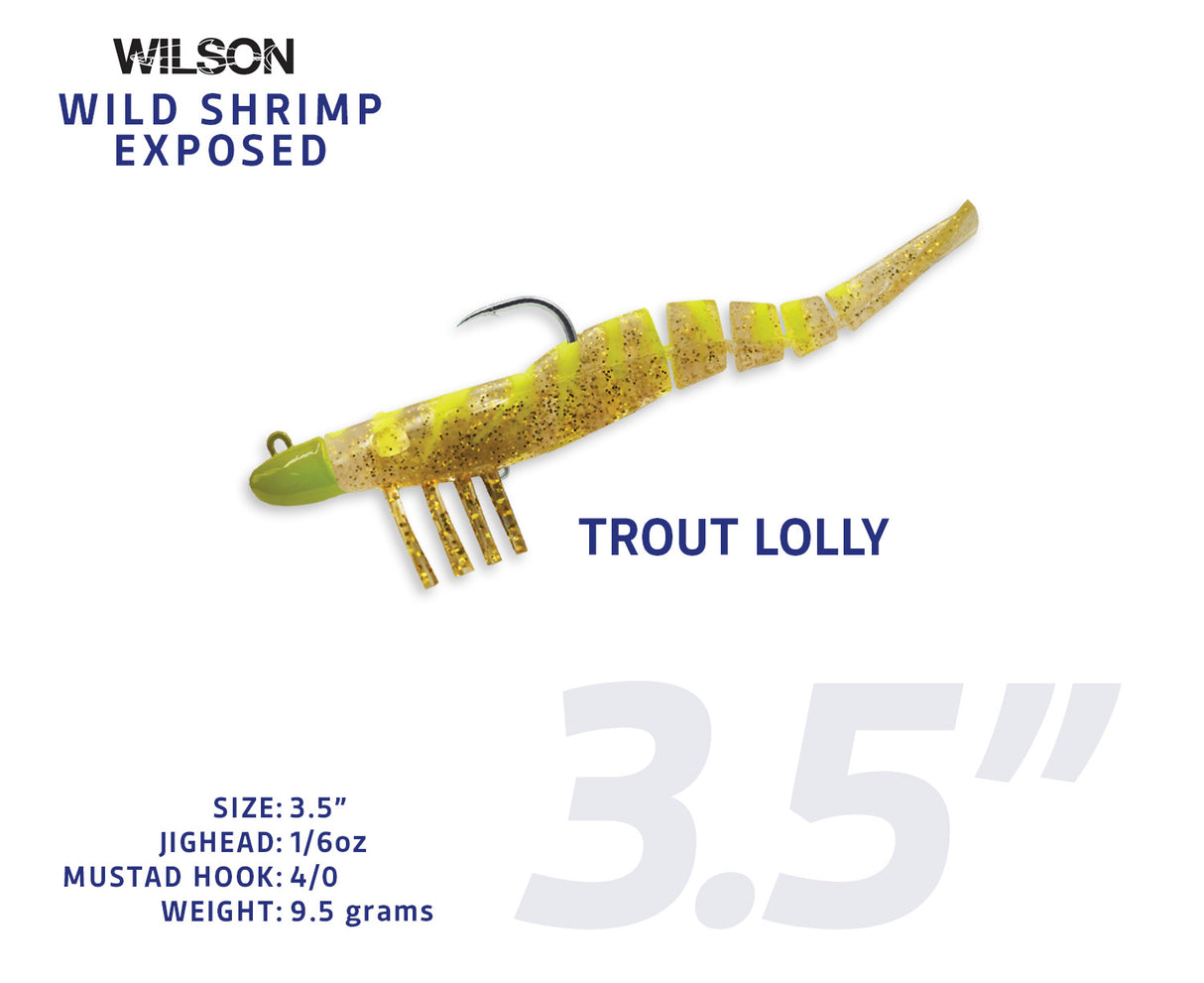 Wild Shrimp Exposed
