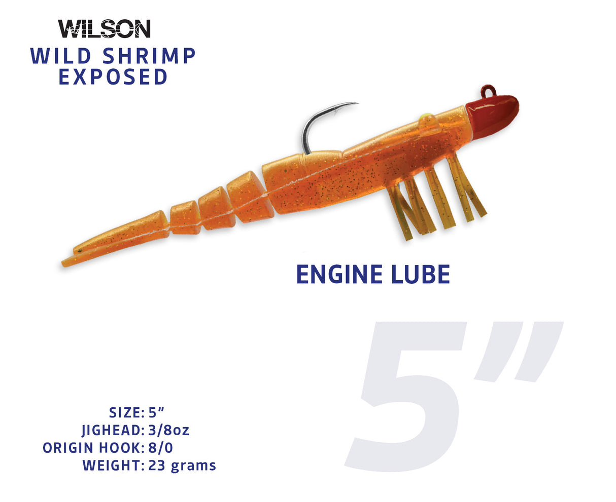 Wild Shrimp Exposed