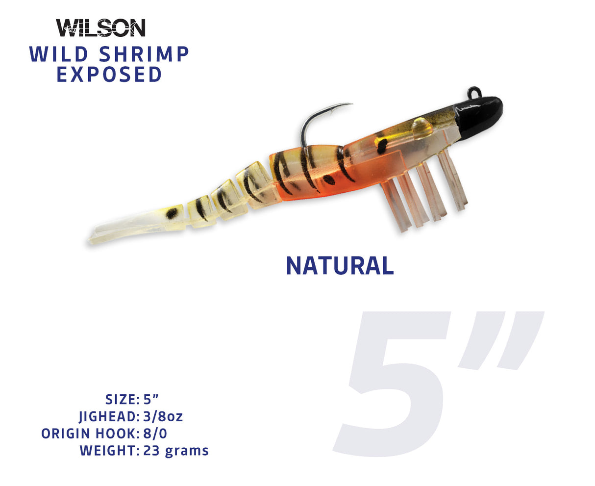 Wild Shrimp Exposed