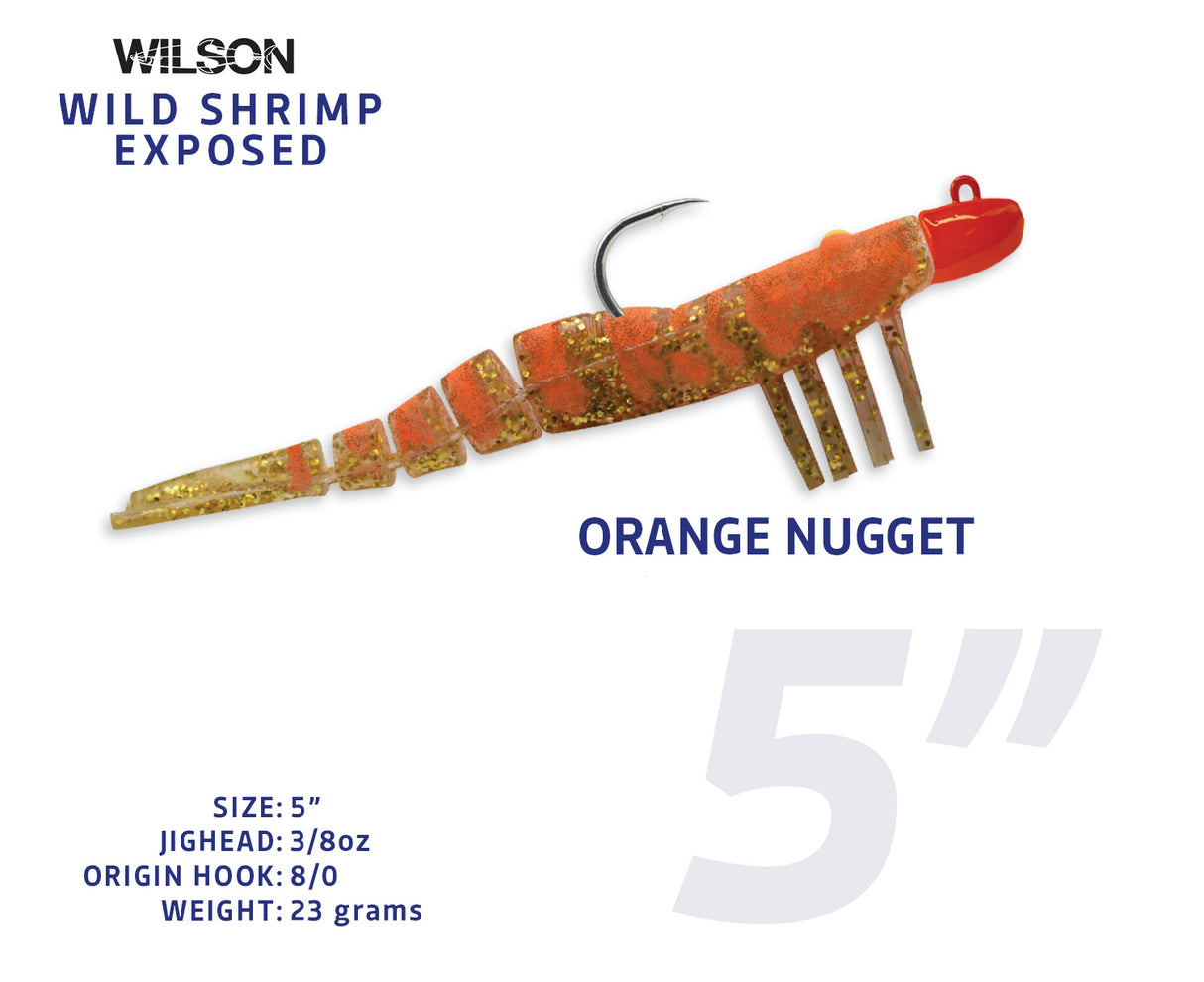 Wild Shrimp Exposed
