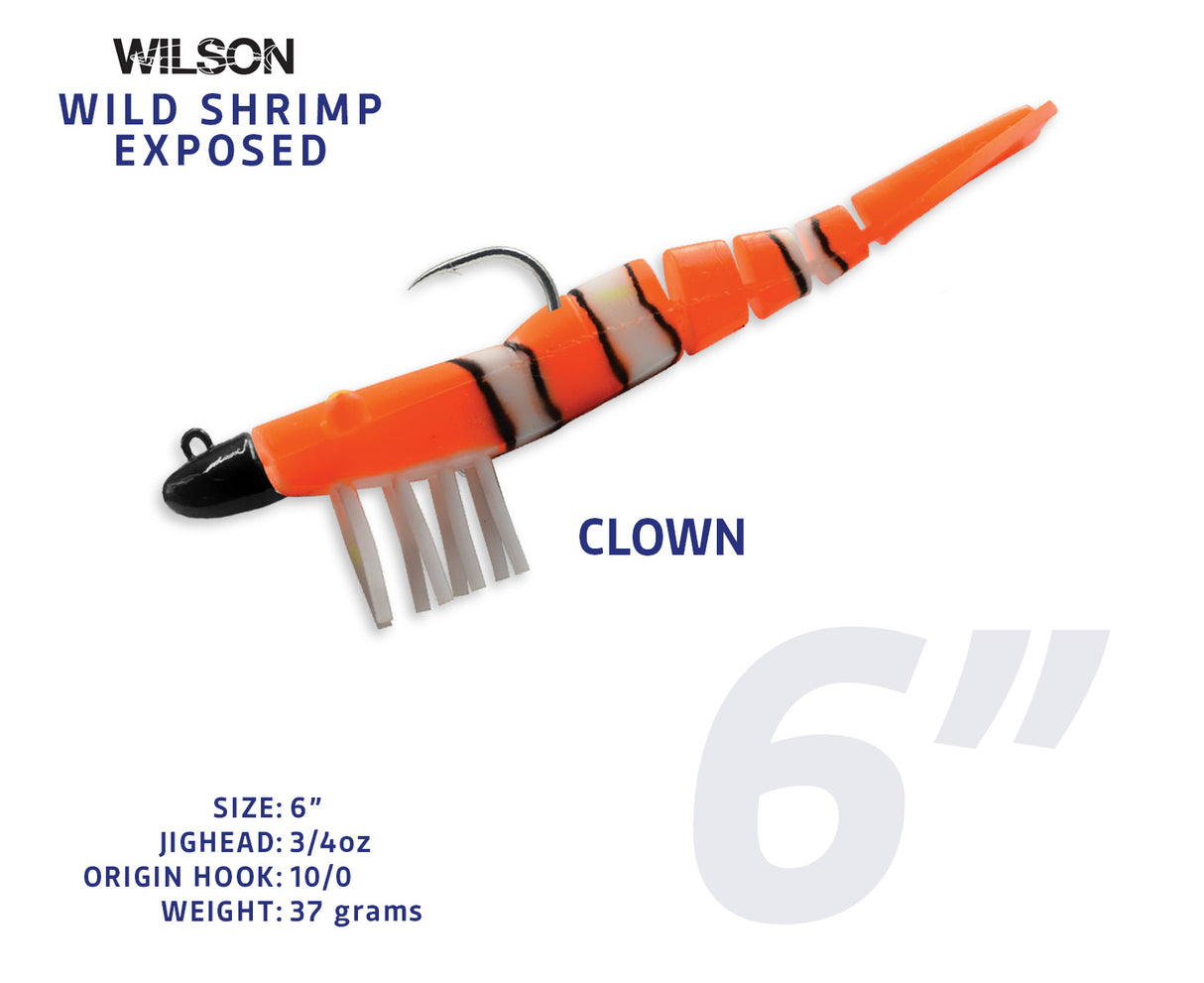 Wild Shrimp Exposed