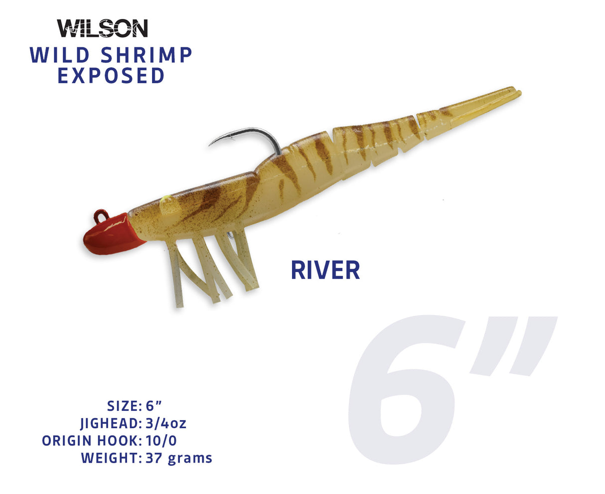 Wild Shrimp Exposed