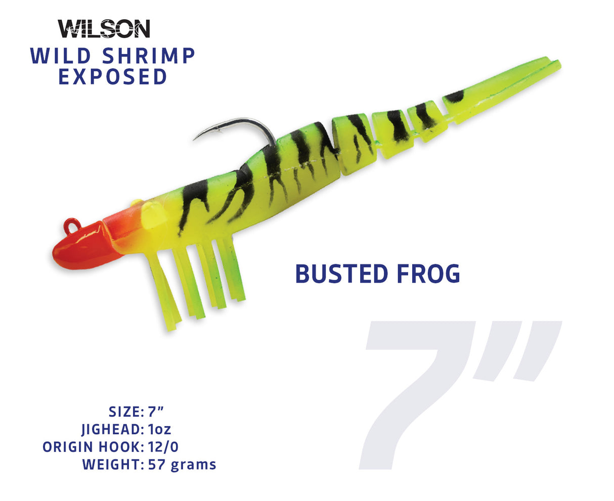 Wild Shrimp Exposed