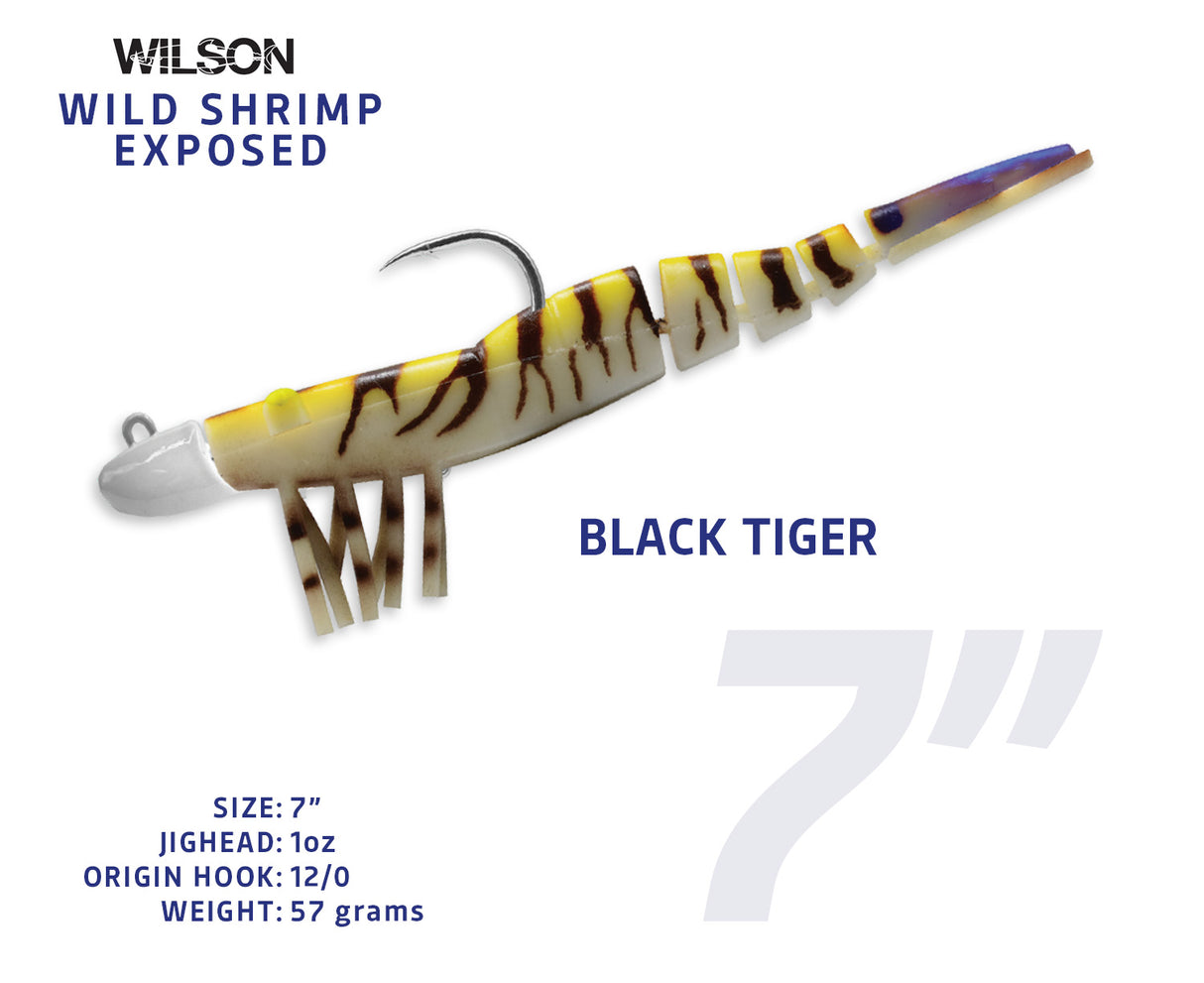 Wild Shrimp Exposed