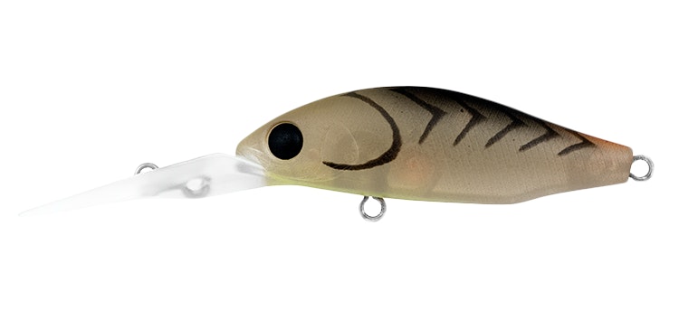 Daiwa Infeet Spike 44MR Hard Body Lure
