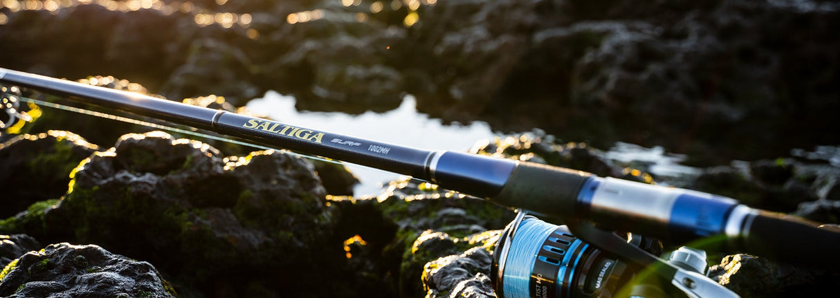 Daiwa 21 Saltiga Surf Spin Fishing Rods