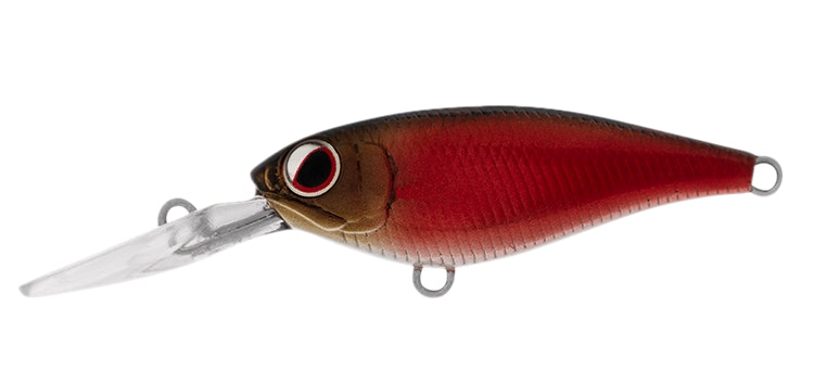 Daiwa Infeet Kodachi Lure