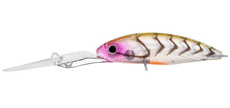 Daiwa INFEET SPIKE 53EXDR Lure