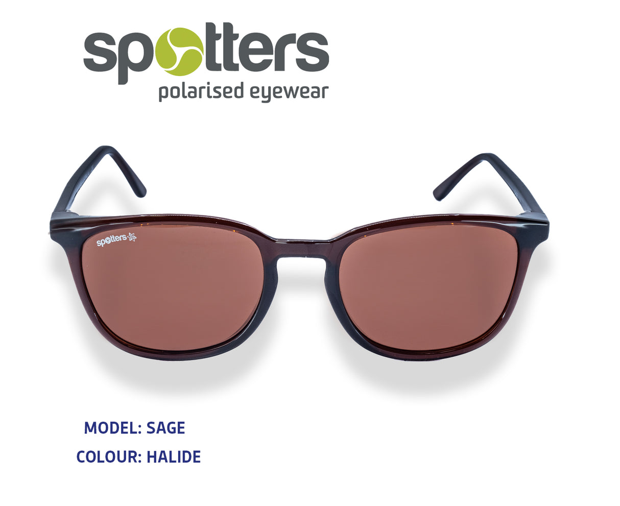 Spotters Sage Polarised Eyeware