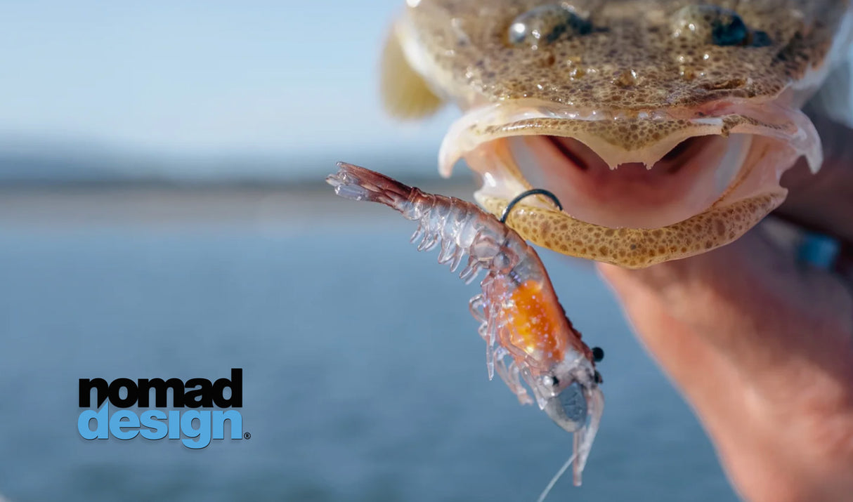 Nomad Live Ops Switcher Shrimp