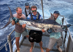 Offshore Action at Swains and Saumarez with Fisho’s Hervey Bay