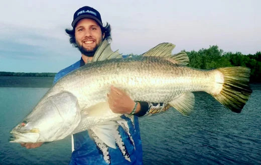 Angler proudly holding an enormous Barramundi caught in Townsville, sharing expert tips for catching Barramundi and Mangrove Jack