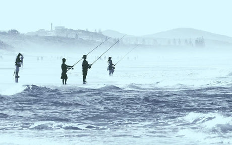 How To Catch Tailor Off The Beach 