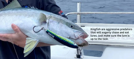 Angler proudly holding a kingfish, illustrating successful techniques for both beginner and expert kingfish fishing