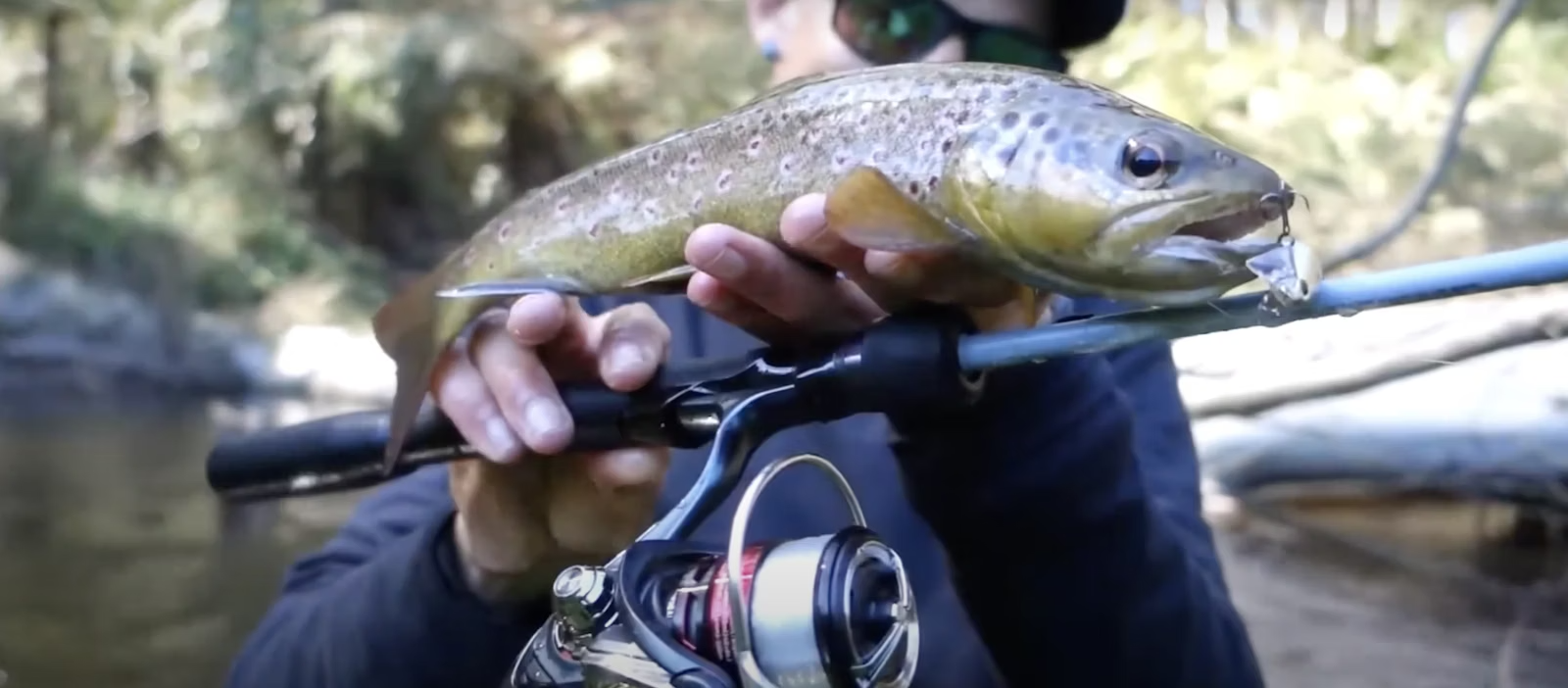 Angler holding a freshly caught trout, demonstrating essential lure techniques for successful trout fishing in Australia