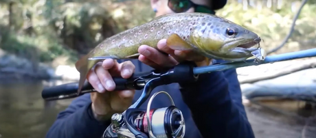 Angler holding a freshly caught trout, demonstrating essential lure techniques for successful trout fishing in Australia