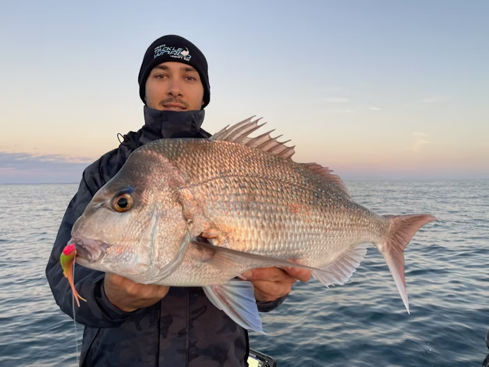 Tackle World expert Dane Radosevic holding a prize snapper, sharing proven techniques, tackle recommendations, and tips for successful snapper fishing