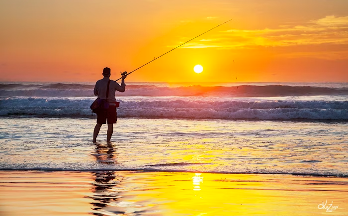 beach fishing poles Toadfish Elite Surf Rods Power Transition System (PTS) Best Surf Fishing Gear for