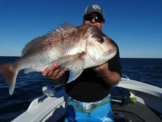 Fishing Australia - Holiday Fishing in Port Stephens