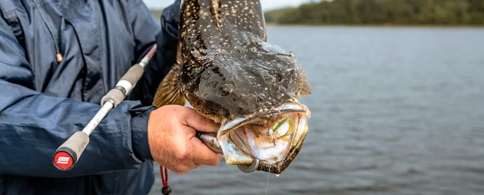 Angler holding a large flathead caught from shore, sharing expert land-based fishing tips from Tackle World