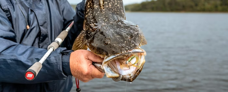 Angler holding a large flathead caught from shore, sharing expert land-based fishing tips from Tackle World