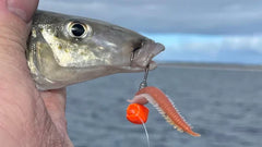 Mastering King George Whiting with Soft Plastics