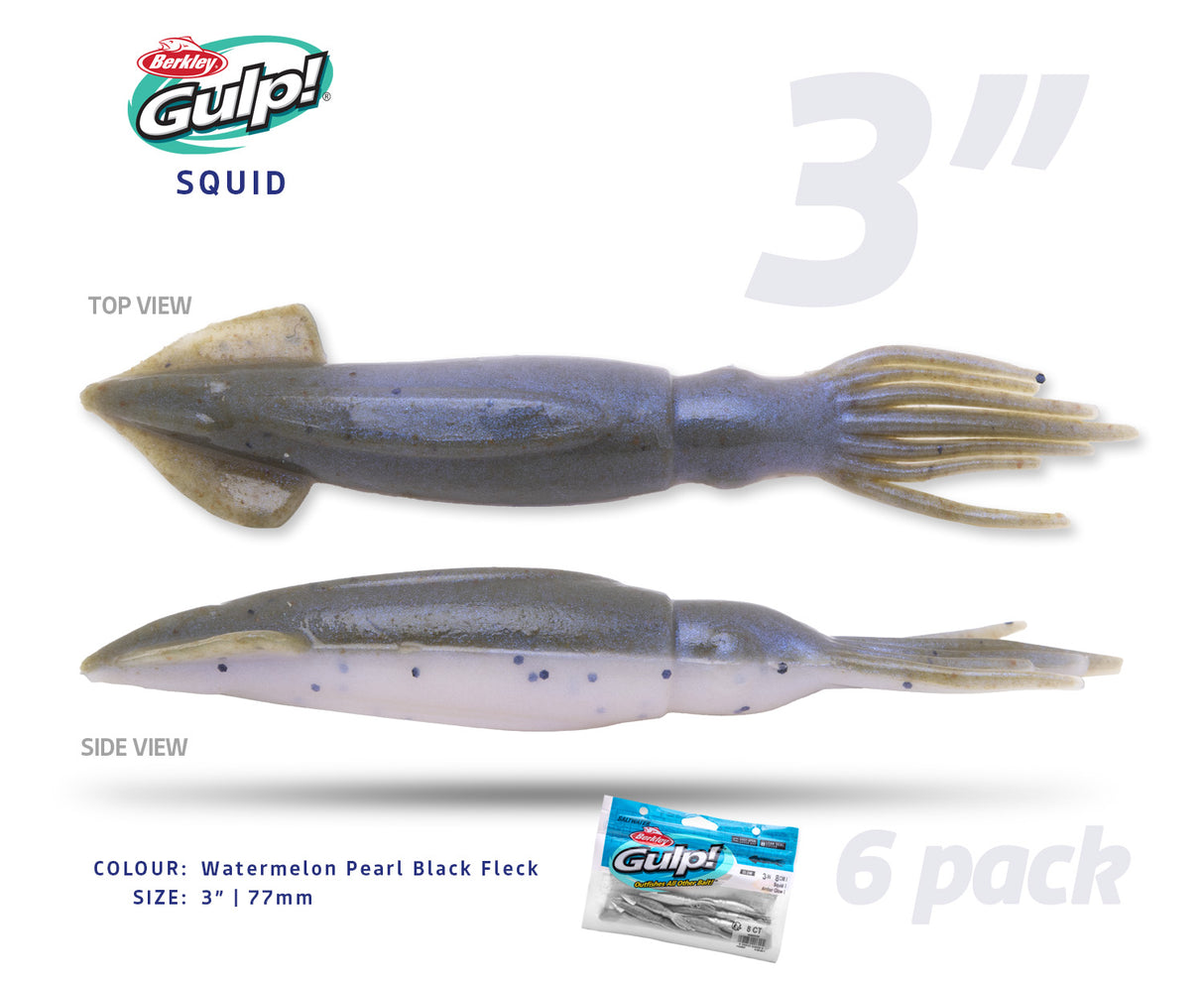 Gulp! Squid