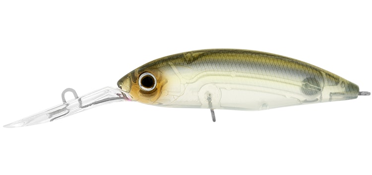 Ghost Shad / 53mm