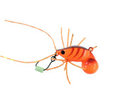 Jackson Chinu Koroli Lures