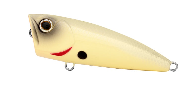 Daiwa Steez Popper 70F Lure