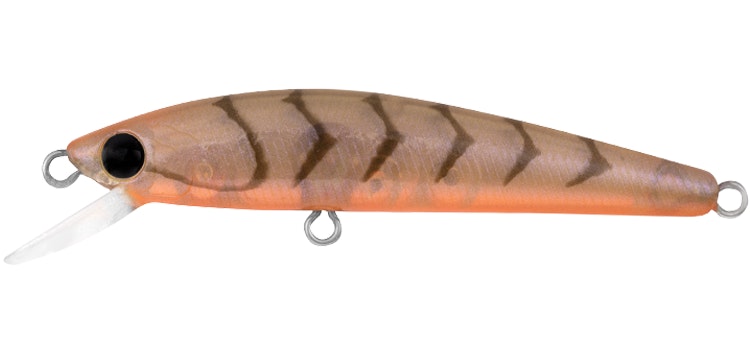 Daiwa Presso Minnow 60F Lure