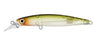 Daiwa Infeet Sazanami 60SP Lure