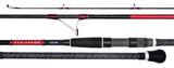 Daiwa 19 Seajigger Spin Fishing Rods