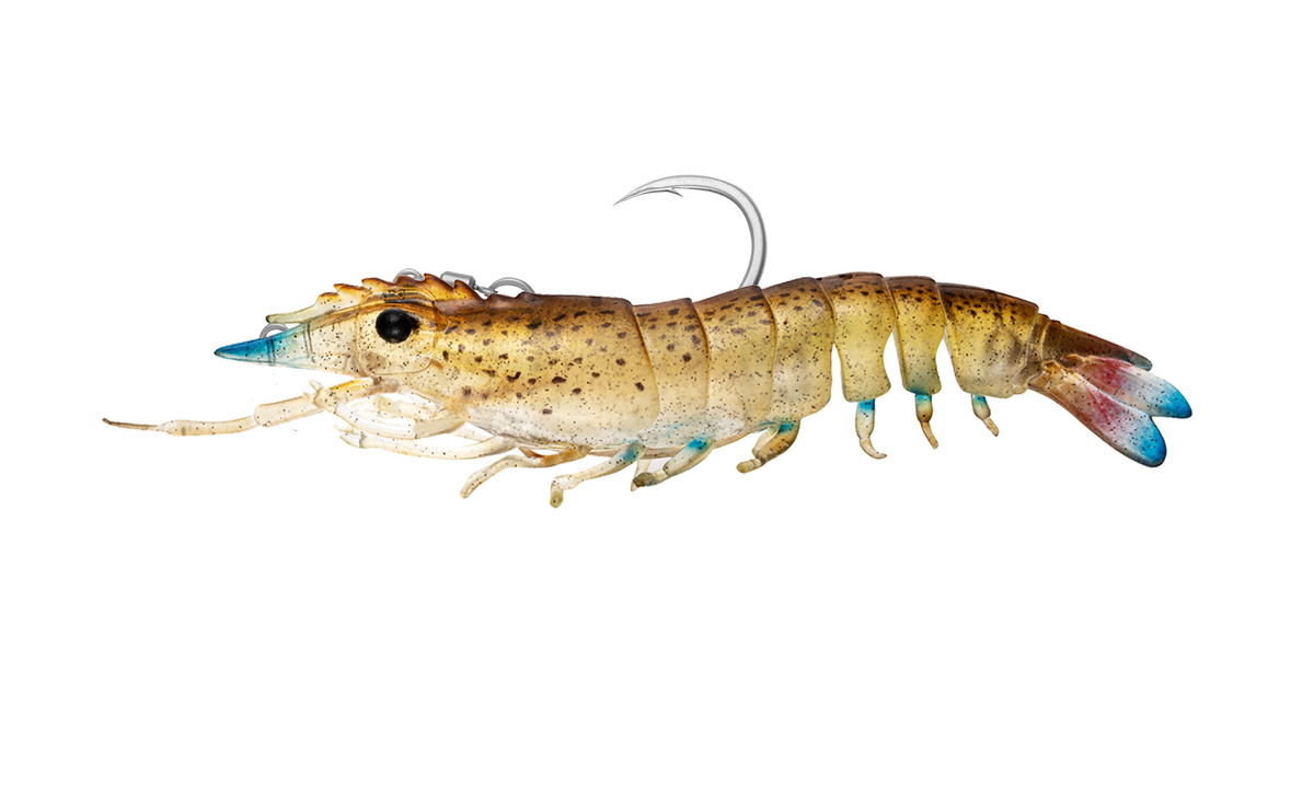 Nomad Design Sumo Shrimp Rigged 4" - Live Ops - Speckled Stalker