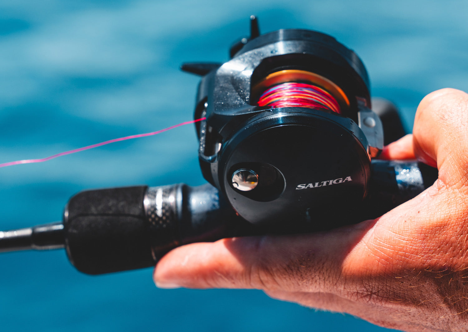25 Saltiga 300H & 300HL – Tackle World