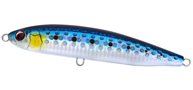 Sardine / 160mm