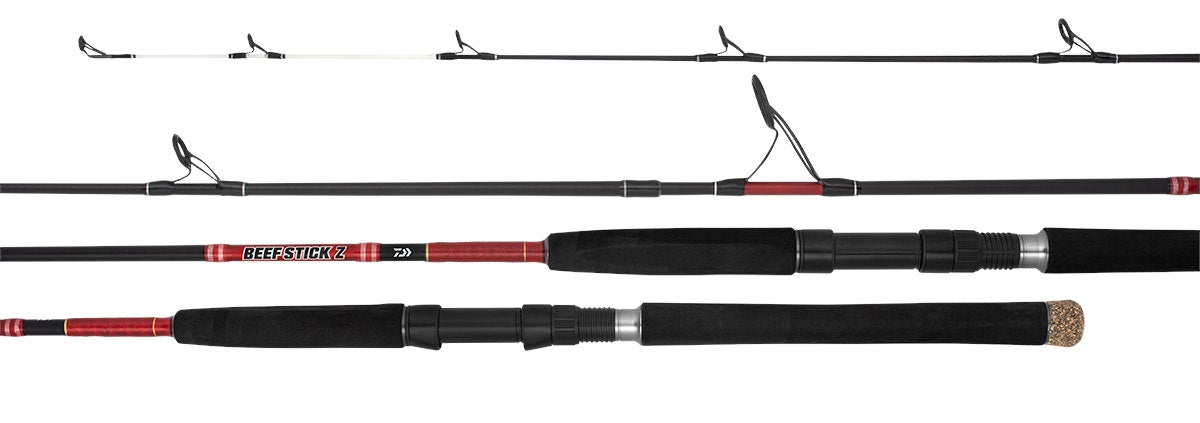 Daiwa 21 Beefstick Z Spin Fishing Rods